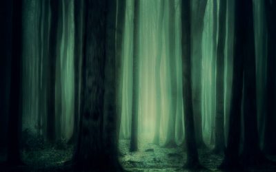 The Dark Forest